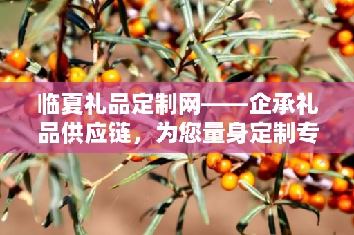 临夏礼品定制网——企承礼品供应链，为您量身定制专属礼品