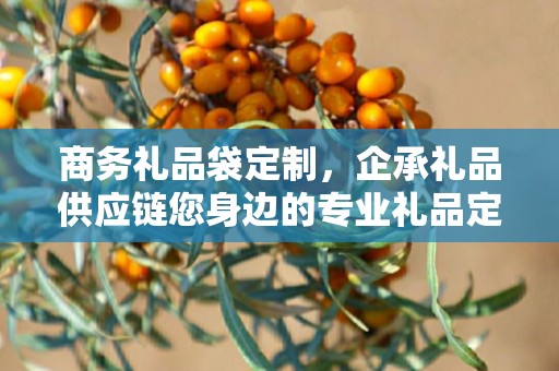 商务礼品袋定制，企承礼品供应链您身边的专业礼品定制公司