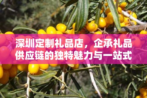深圳定制礼品店，企承礼品供应链的独特魅力与一站式服务体验